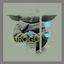 MANDALORIAN & GROGU (HUNGRY LITTLE FELLA) FRAMED ALBUM COVER