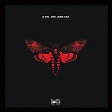 FRAMED LIL WAYNE (I AM NOT A HUMAN BEING)